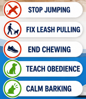 Stop jumping, fix leash pulling, end chewing, teach obedience, calm barking